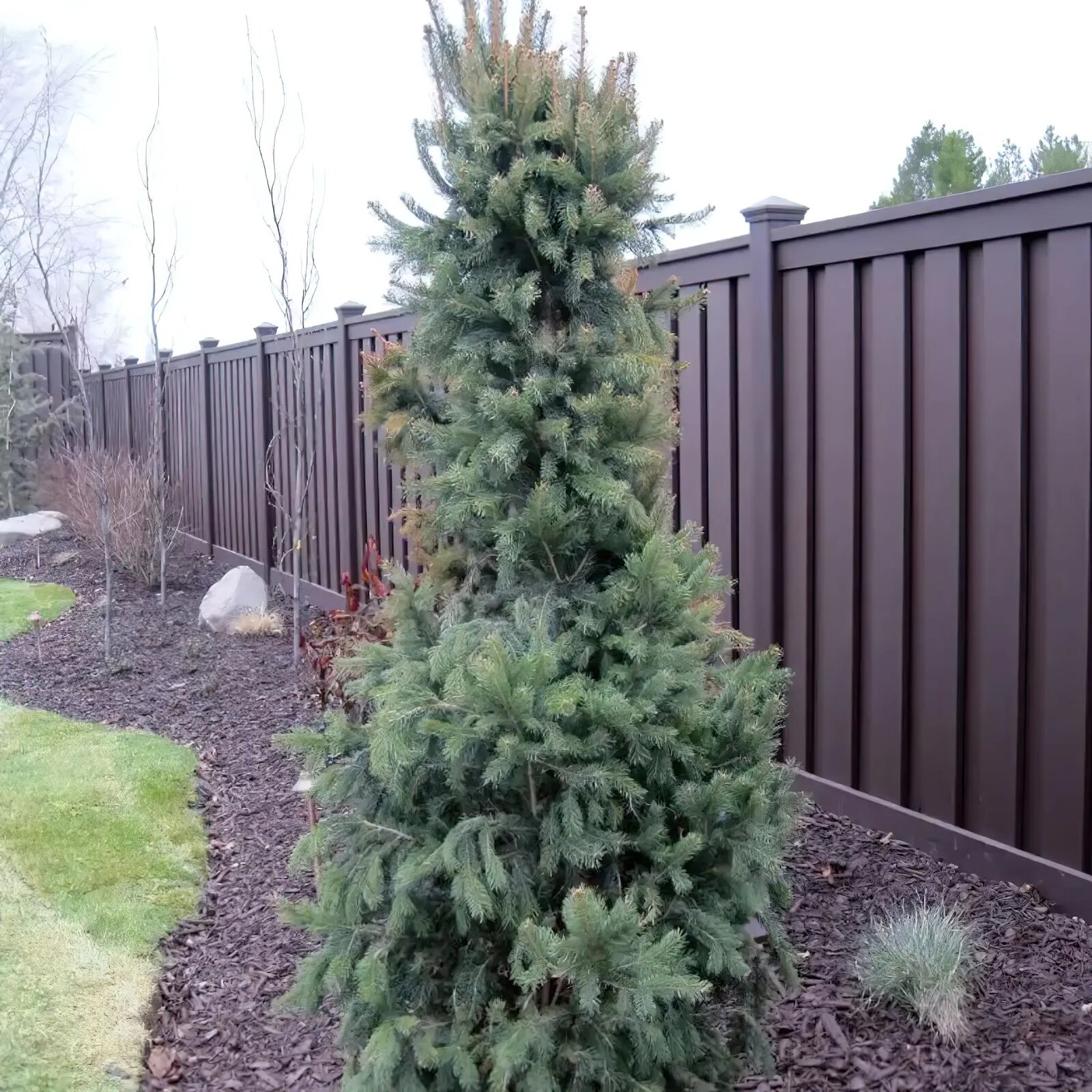 Trex Composite Fencing